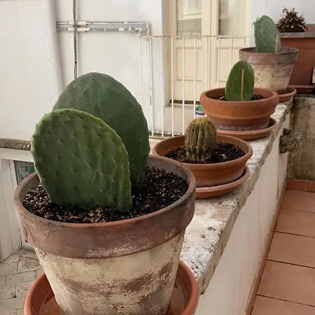 Casa de Férias My Little Flat *